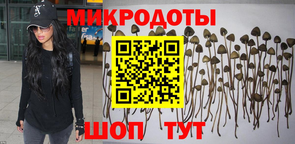 Галлюциногенные грибы ЛСД  Вход с VPN  Озёры 